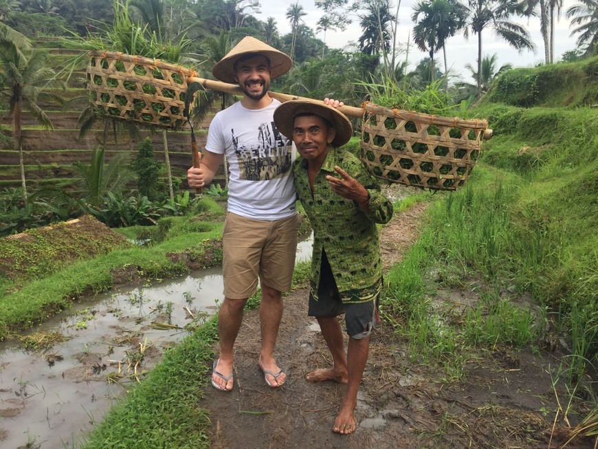 Lugar Ricefields Tegallalang