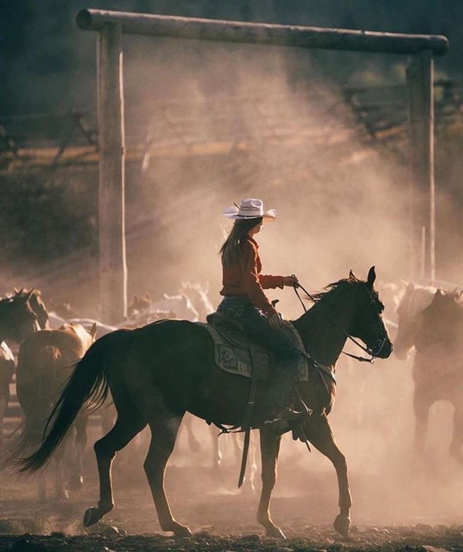 Moda Western