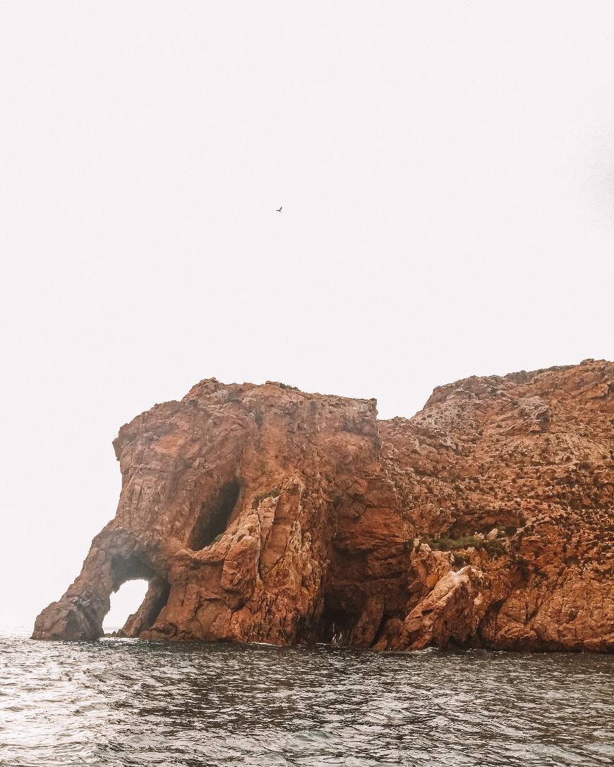 Place Berlengas Natural Reserve