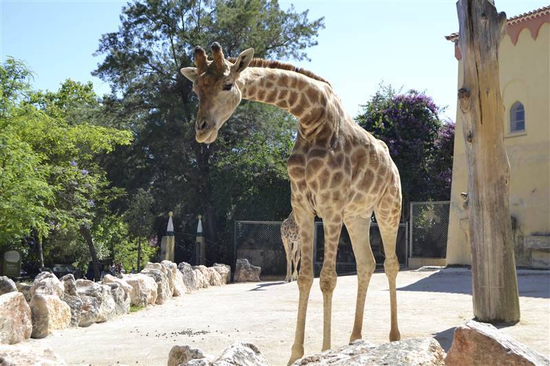Lugar Zoo portugal