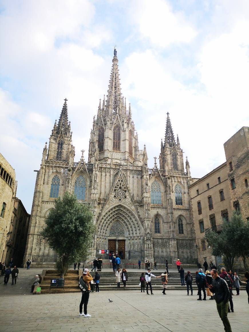 Lugar Catedral de Barcelona