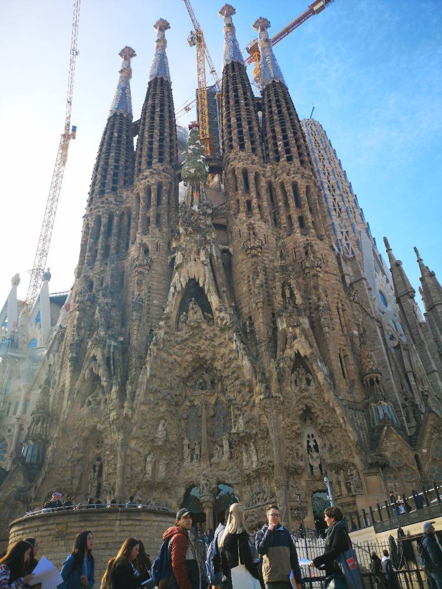 Lugar Basílica Sagrada Familia