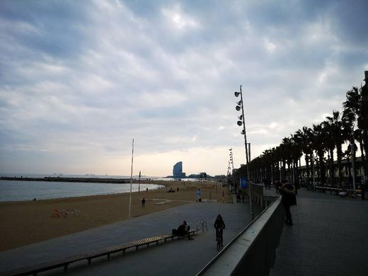 Playa de la Barceloneta