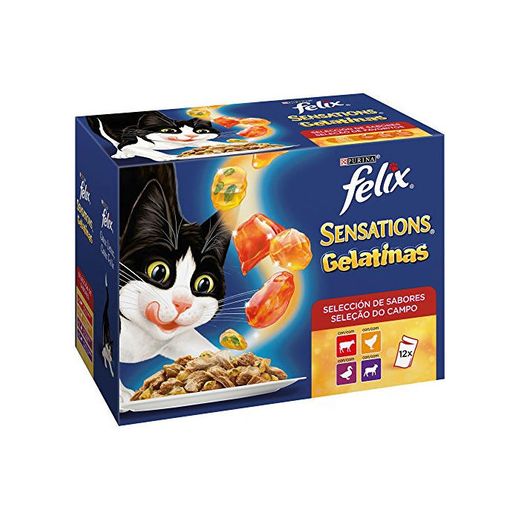 Purina Felix Sensations Gelatinas comida para gatos Selección Surtido de Carnes 6