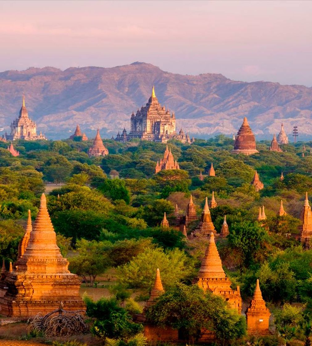 Social Myanmar