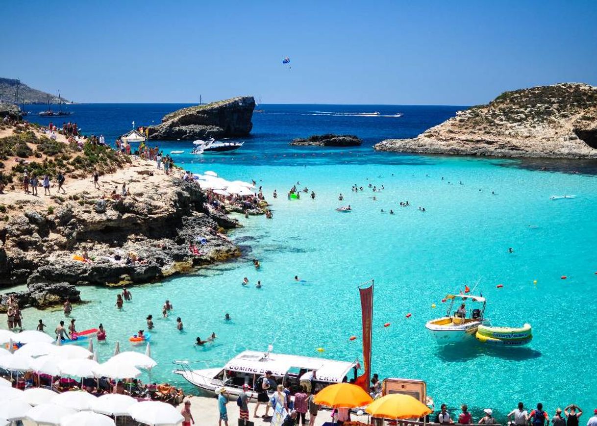 Social Blue Lagoon