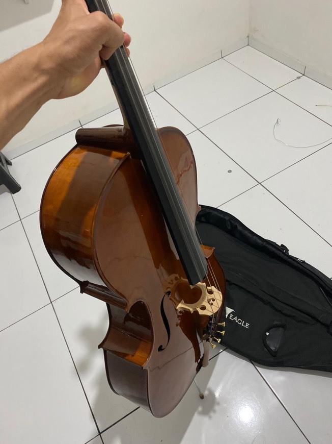 Videojuegos Hauser cello 