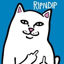 Fashion Ripndip