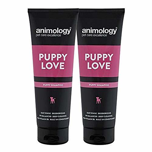 Place ANIMOLOGY Champú Puppy Love