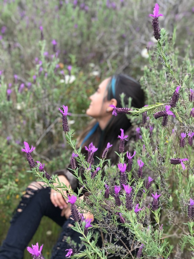 🦋