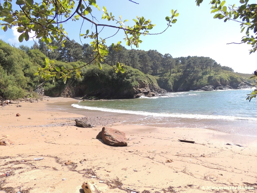 Place Cala Canide