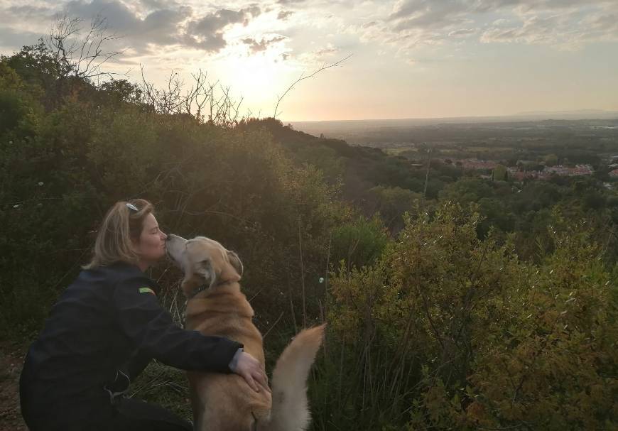 Lugar Serra do Louro