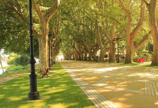 Place Avenida dos Plátanos