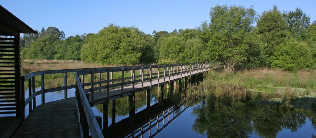 Place Lagoas de Bertiandos e São Pedro d'Arcos