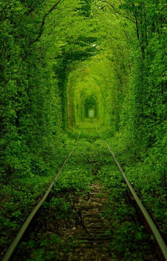 Lugar Tunnel of Love