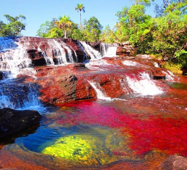 Lugar Via Río Caño Cristales