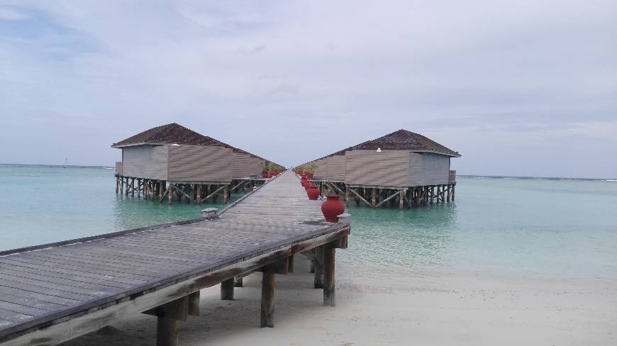 Lugar Meeru Island Resort & Spa