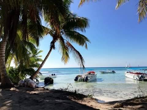 Lugar Isla Saona