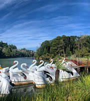 Place Lago negro