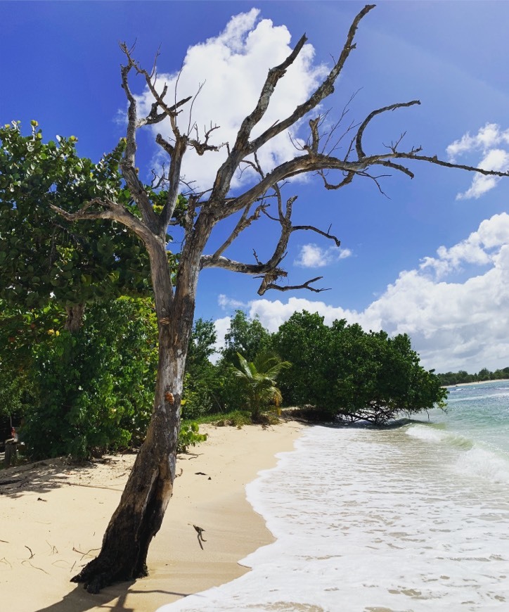 Place Guadeloupe