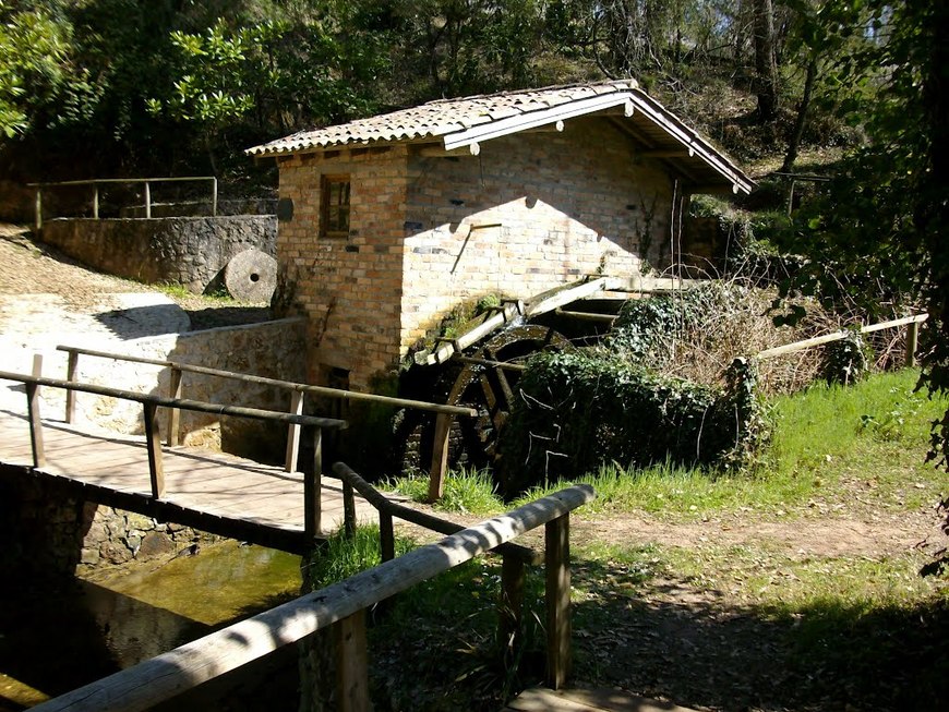 Lugar Parque Merendas Pisão