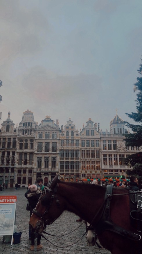 Lugar Grand Place