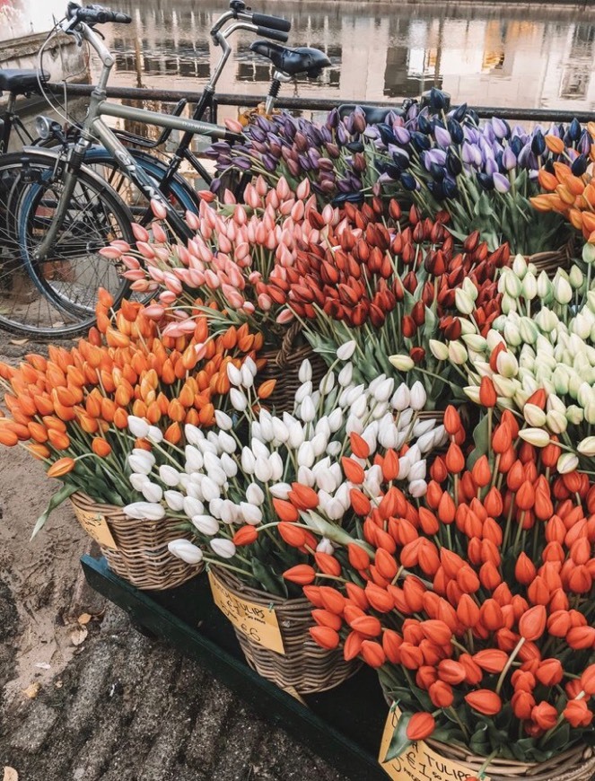 Place Bloemenmarkt