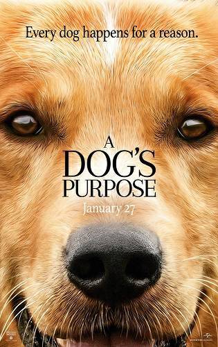 Movie Dog's purpose (Juntos para sempre)