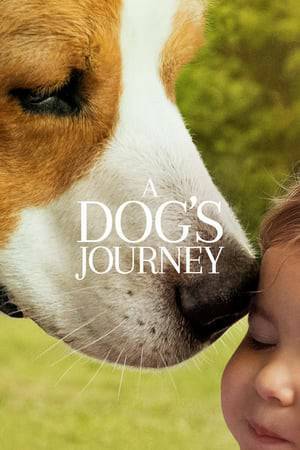 Movie A doug's Journey (Juntos para sempre 2)