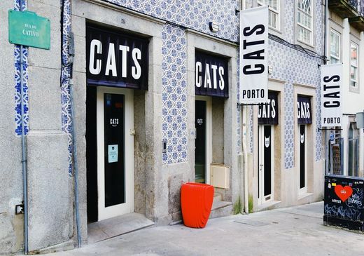 Cats Hostel Porto