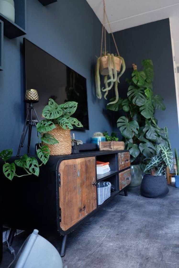 Fashion Casas com plantas 💚🌳