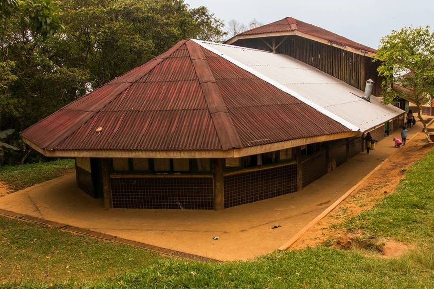 Place Tekoa Kalipety - Aldeia Guarani - Terra Indígena Tenondé Porã