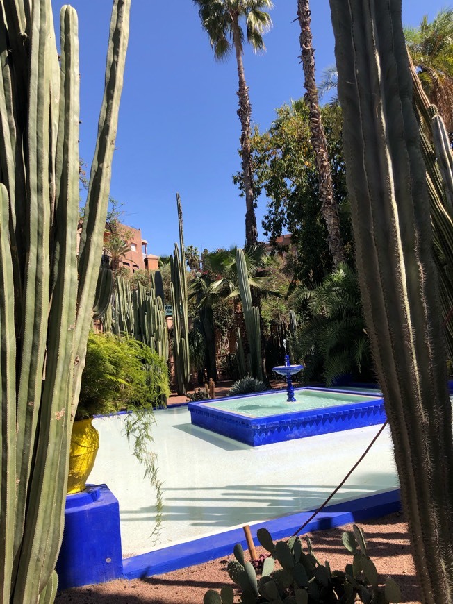 Place Jardín Majorelle