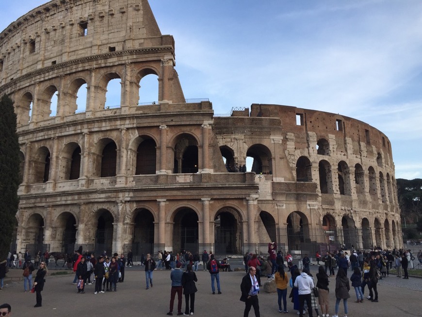 Lugar Coliseo de Roma