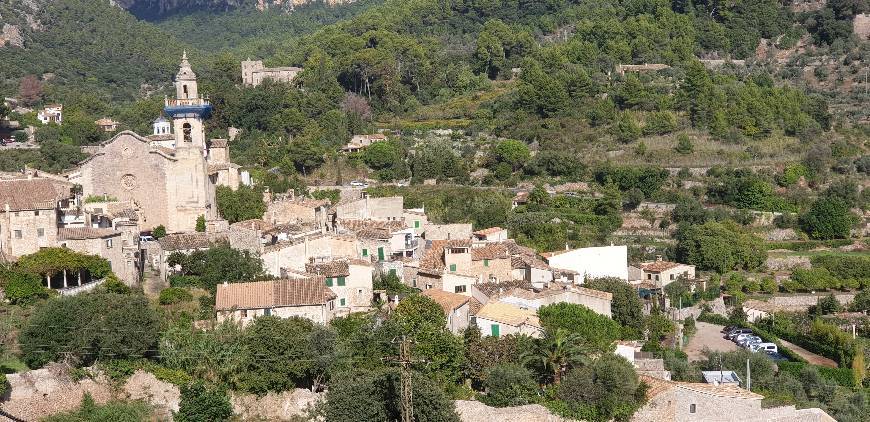 Lugar Valldemosa