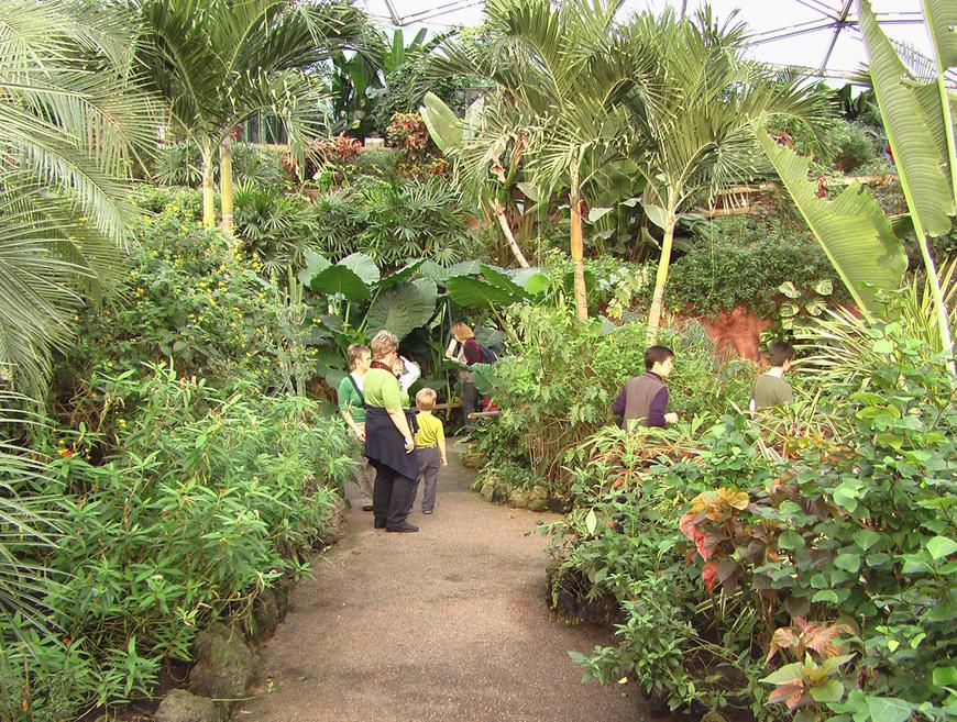 Place Papiliorama