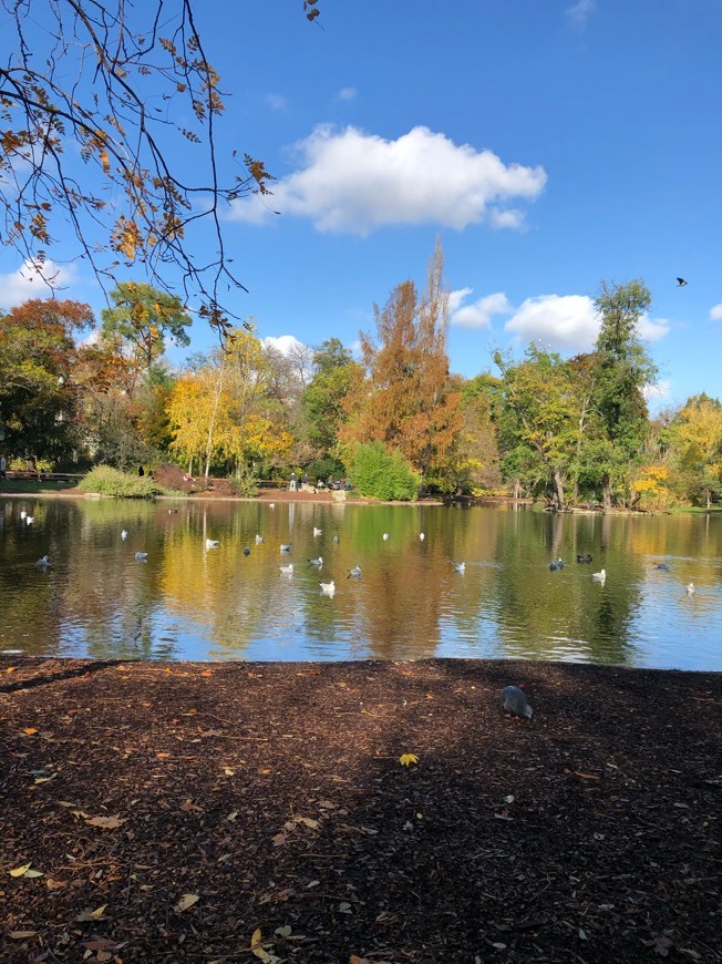 Place Stadtpark