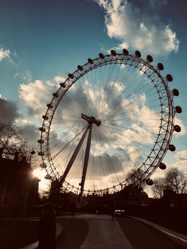 Place London Eye
