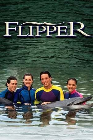 Serie Flipper