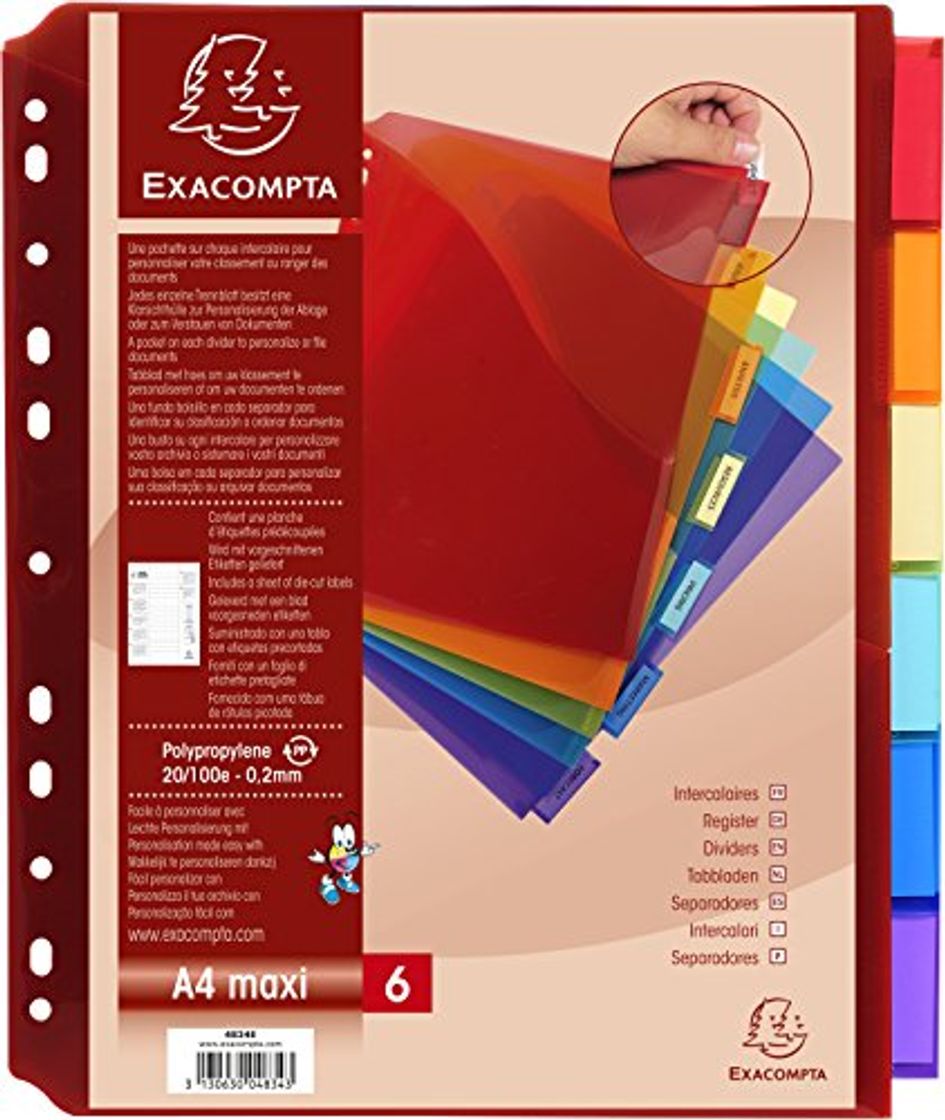 Product Intercalaires avec Pochette Exactive Polypropylene Haute Resistance 20