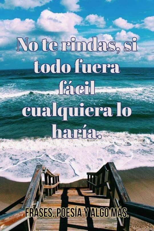 Moda Frases y reflexiones 