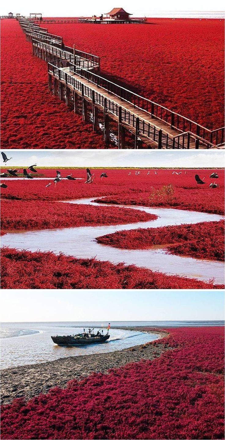 Place Red Beach