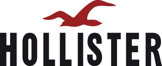 Hollister Official Website