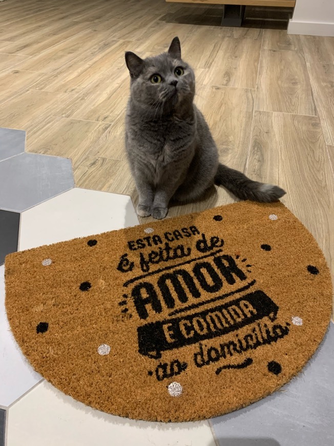 Alfombrilla de interior