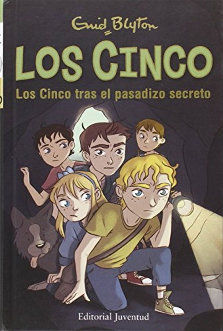 Libro Los Cinco tras el pasadizo secreto