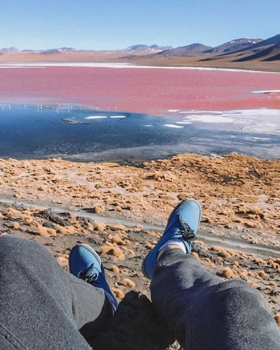 Social Laguna Colorada