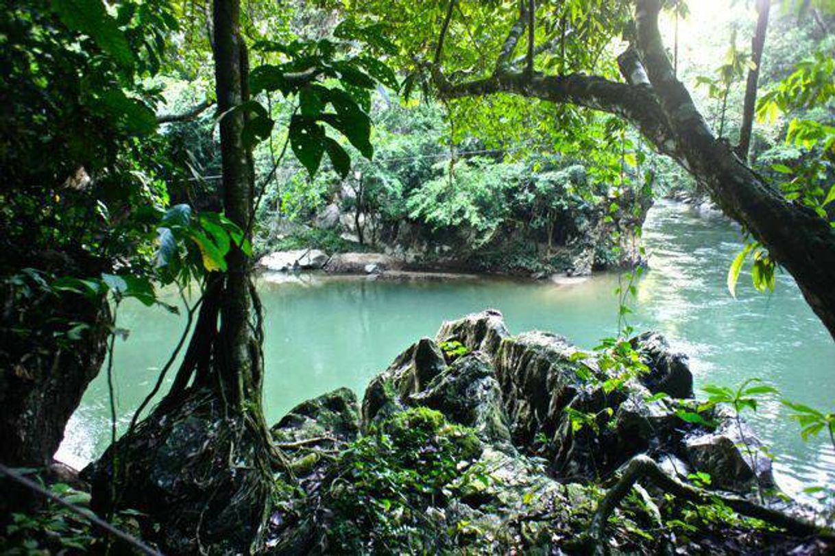 Social Rio Claro