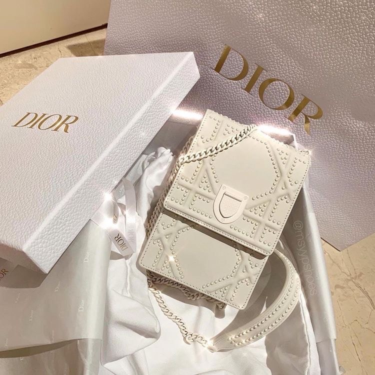 small bag by dior 