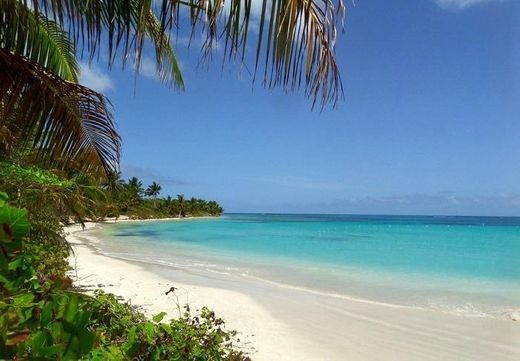 Playa Flamenco