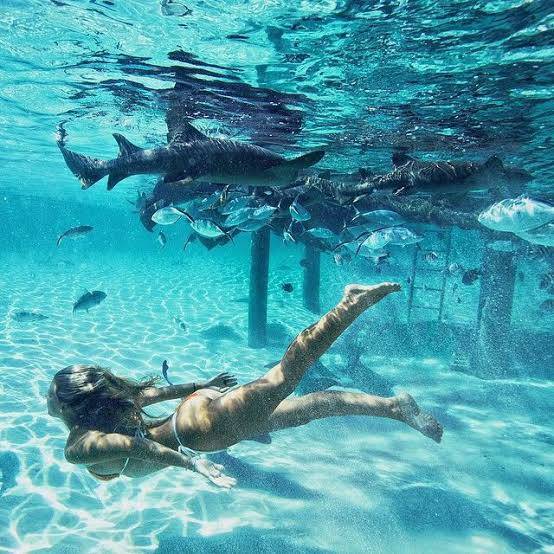 Social Nadar sem pensar em nada